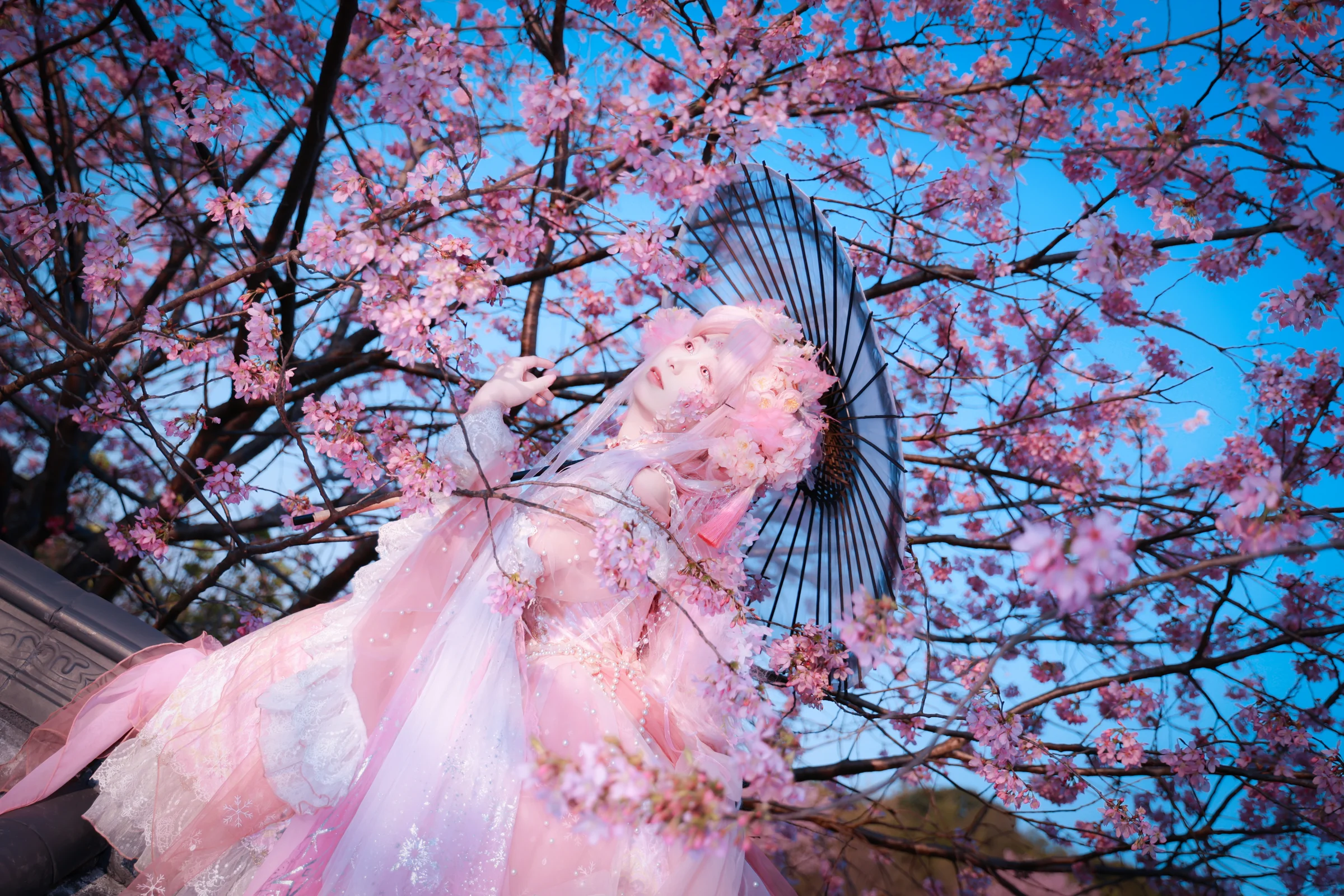 樱花拟人COS写真