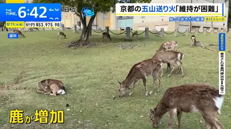 《京都五山送火》大文字篝火瀕臨消滅？希望透過群眾募資守護千年傳統｜高清图片集