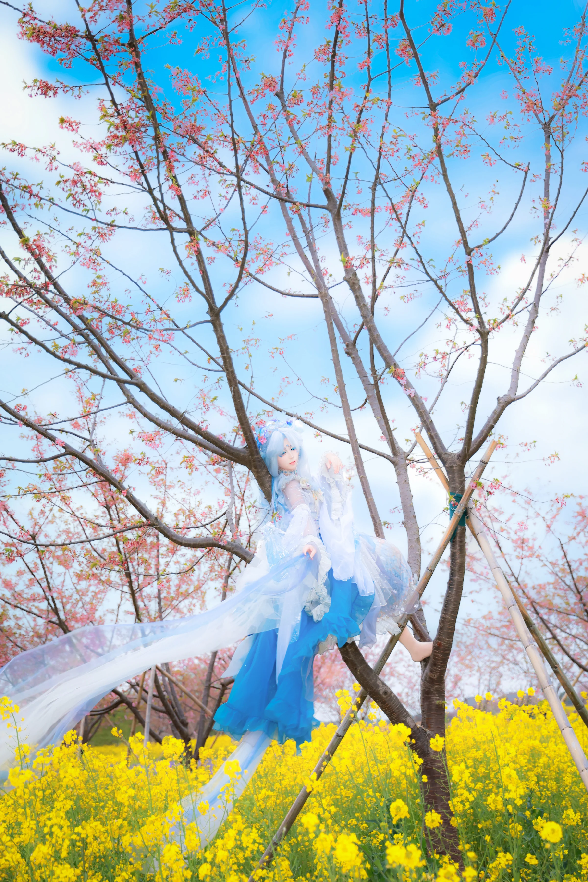 Lolita正片 雪樱｜高清图片集