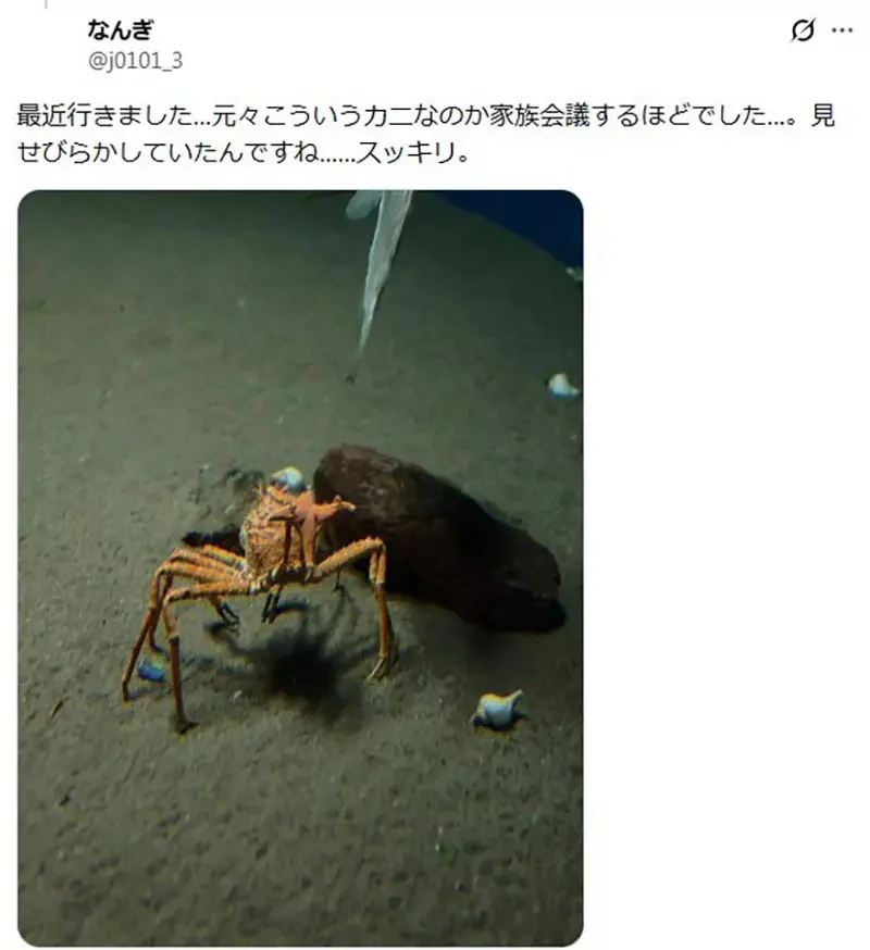 《舉起海星的螃蟹》日本水族館的擬人面蟹爆紅 不是巧合而是真的有這種興趣？｜高清图片集
