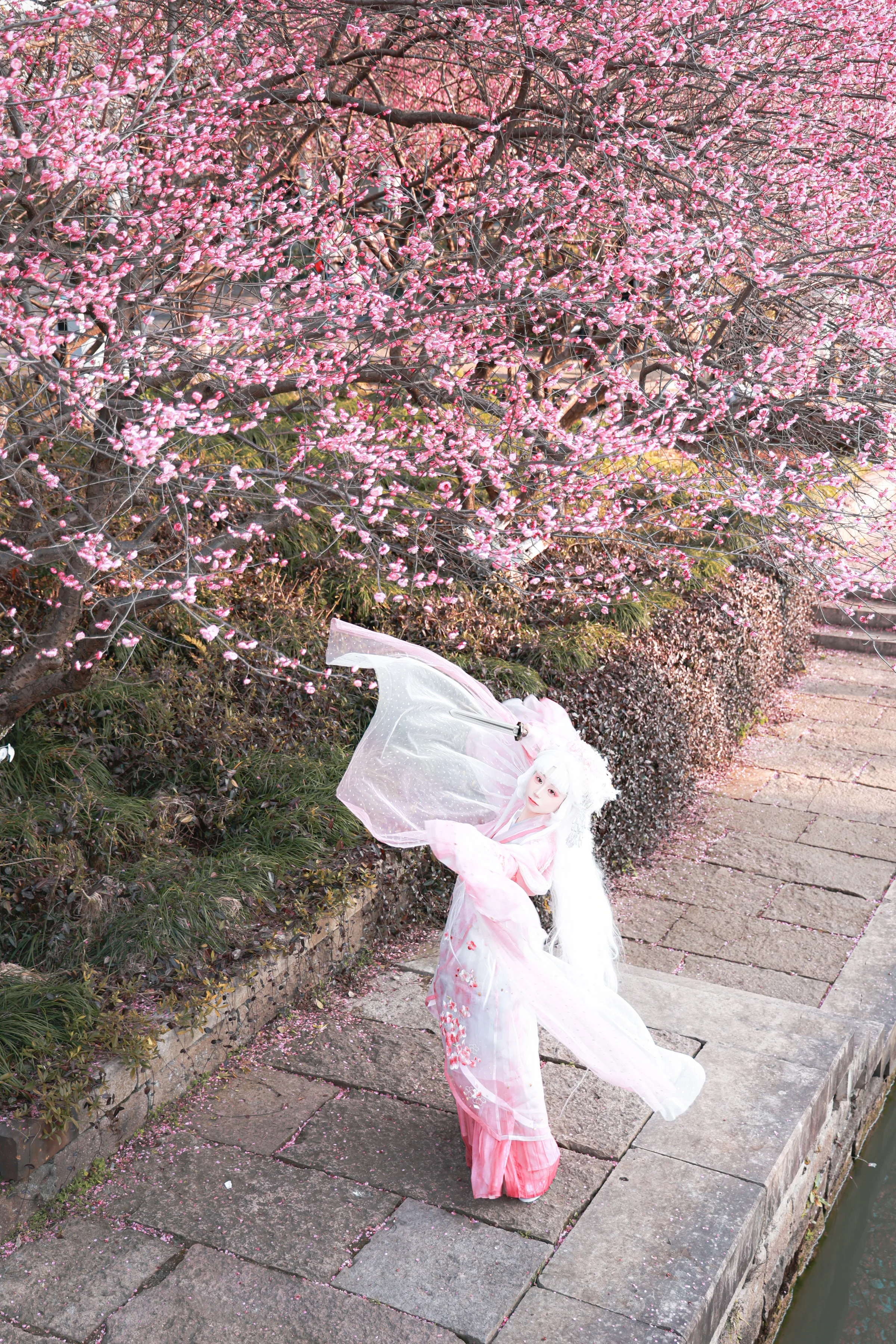 梅花拟人 国风COS写真