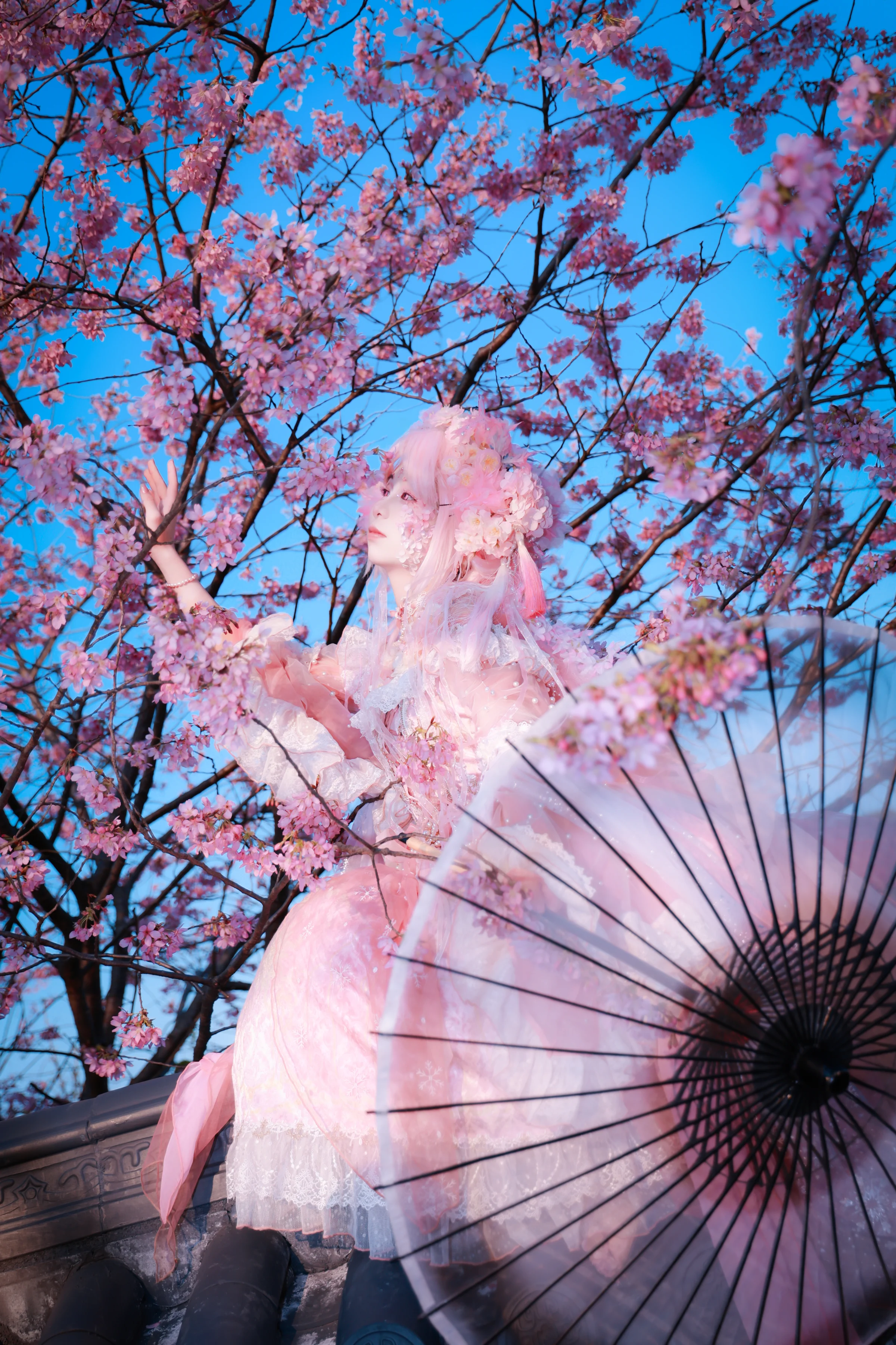 樱花拟人COS写真