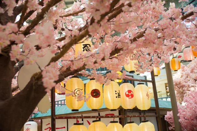 火影忍者动画实境展转战北京，体验忍者世界就在今天！｜高清图片集