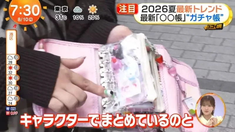 日本年輕人流行《轉蛋收集冊》你想不想學著這樣收藏轉蛋玩具呢？｜高清图片集