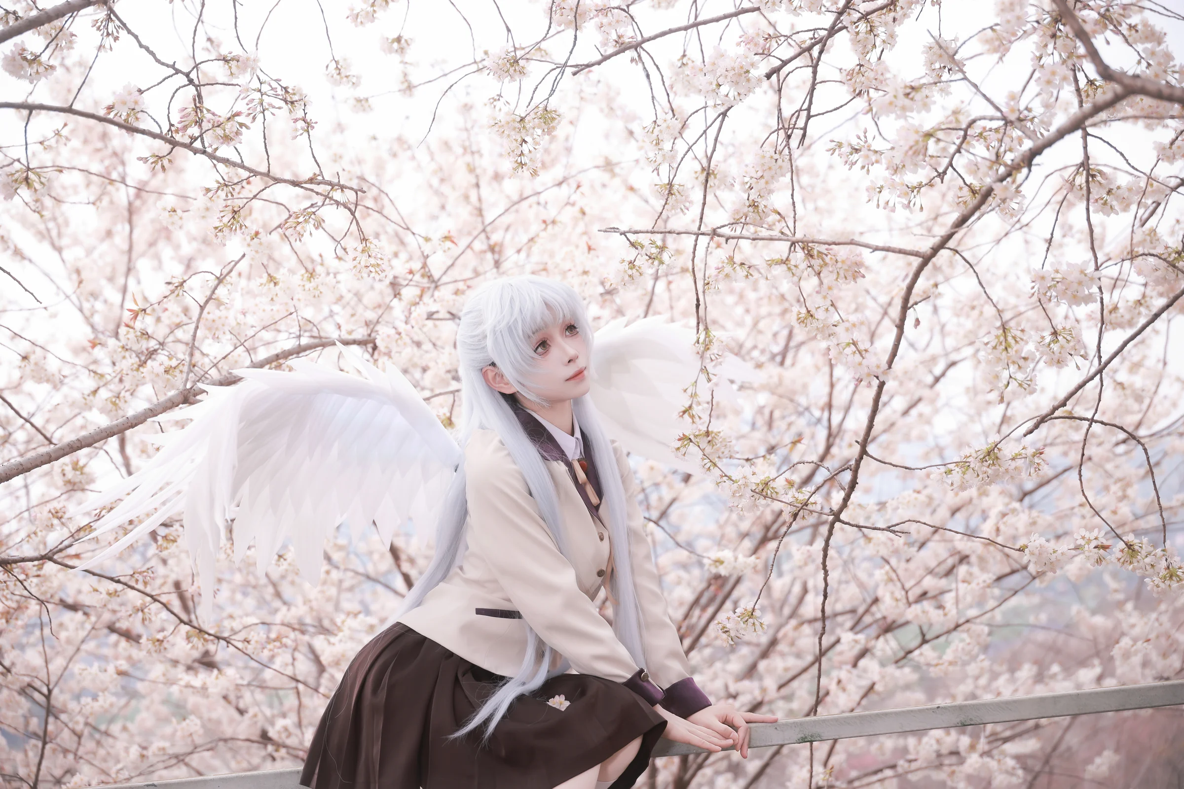 《Angel Beats!》立华奏COS写真