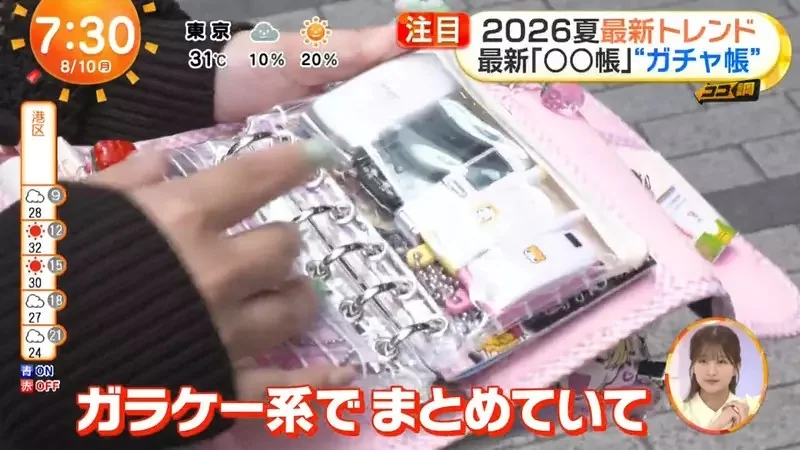 日本年輕人流行《轉蛋收集冊》你想不想學著這樣收藏轉蛋玩具呢？｜高清图片集