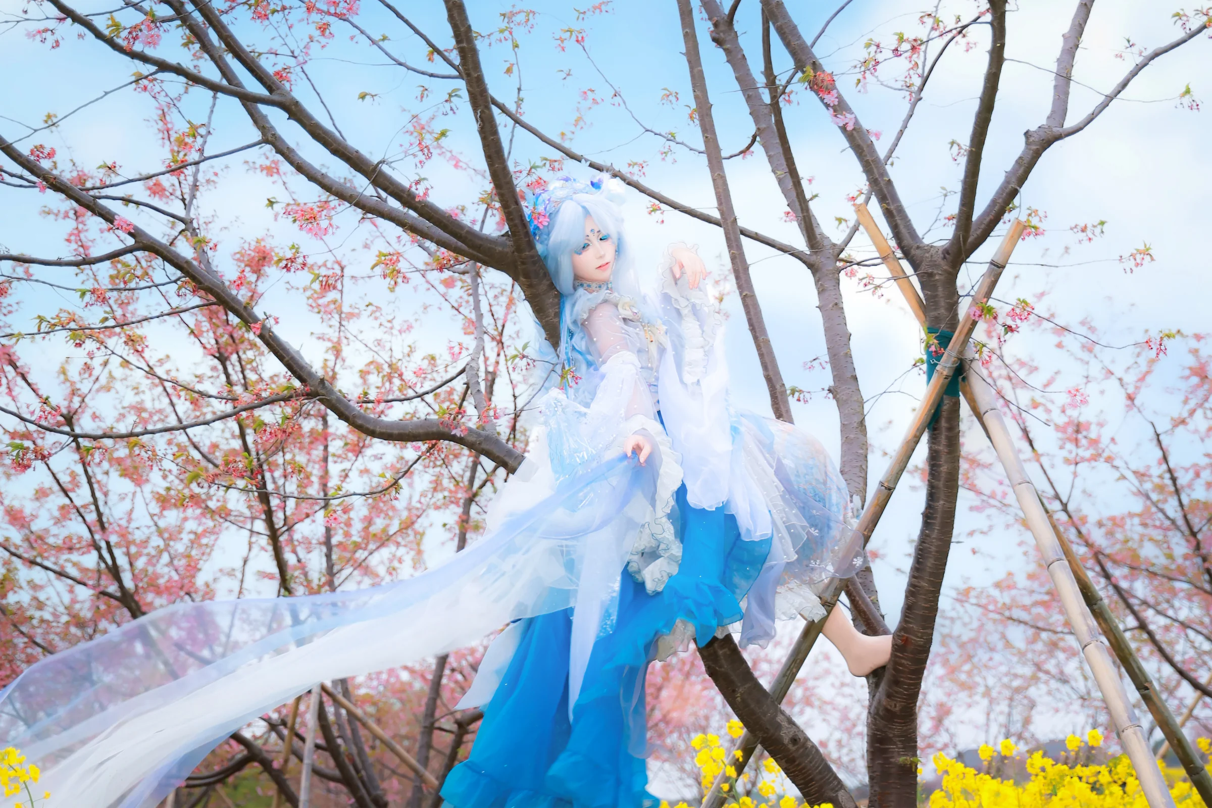 Lolita正片 雪樱｜高清图片集