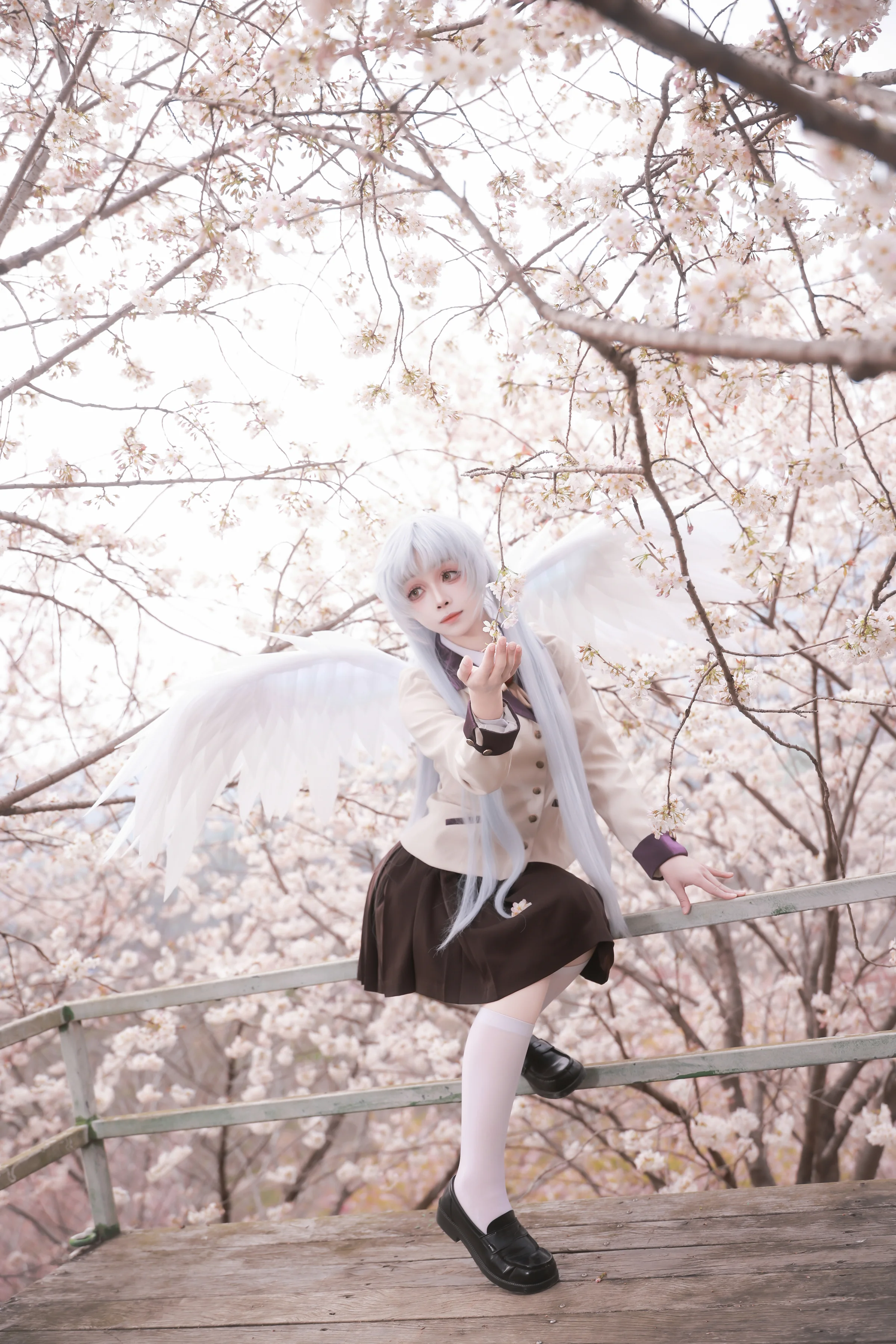 《Angel Beats!》立华奏COS写真