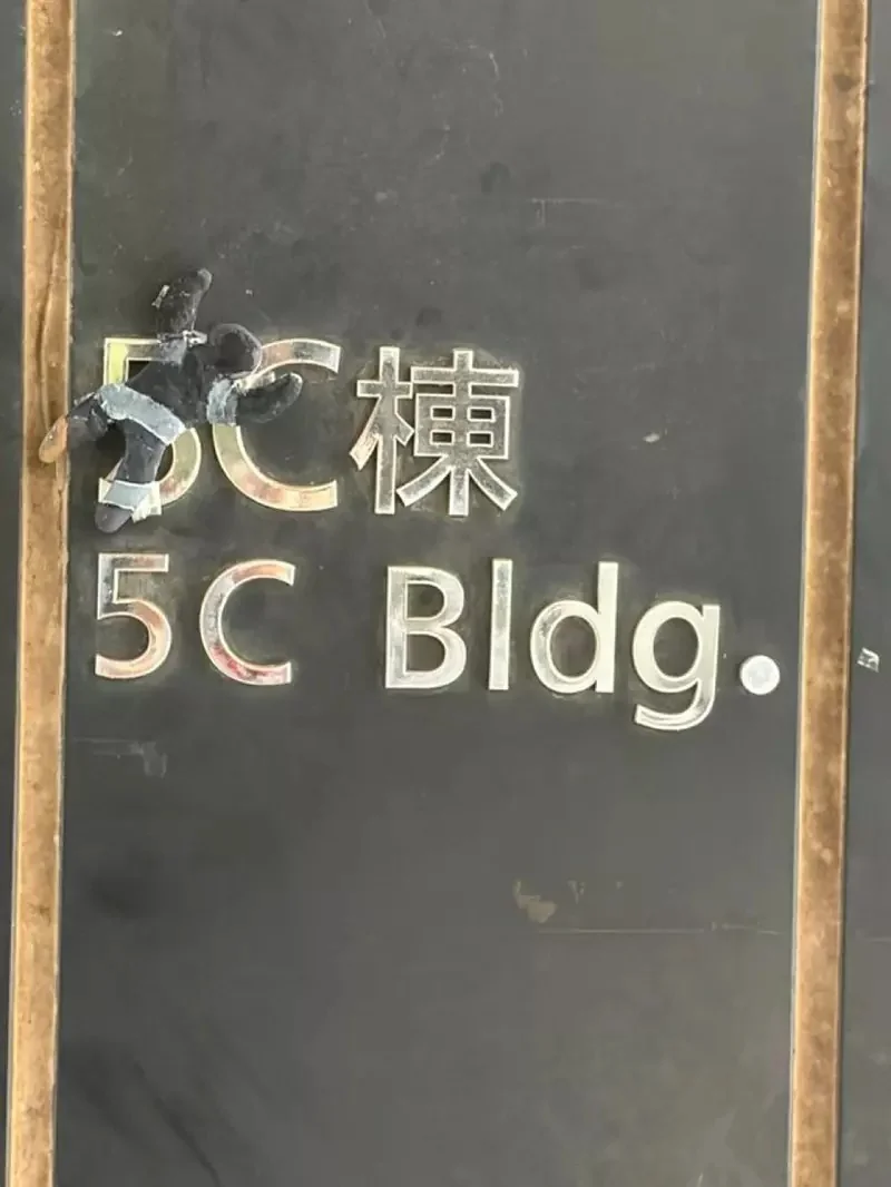 日本大學生版本的《超級變色龍》看看學生們的創意感覺也挺會藏｜高清图片集