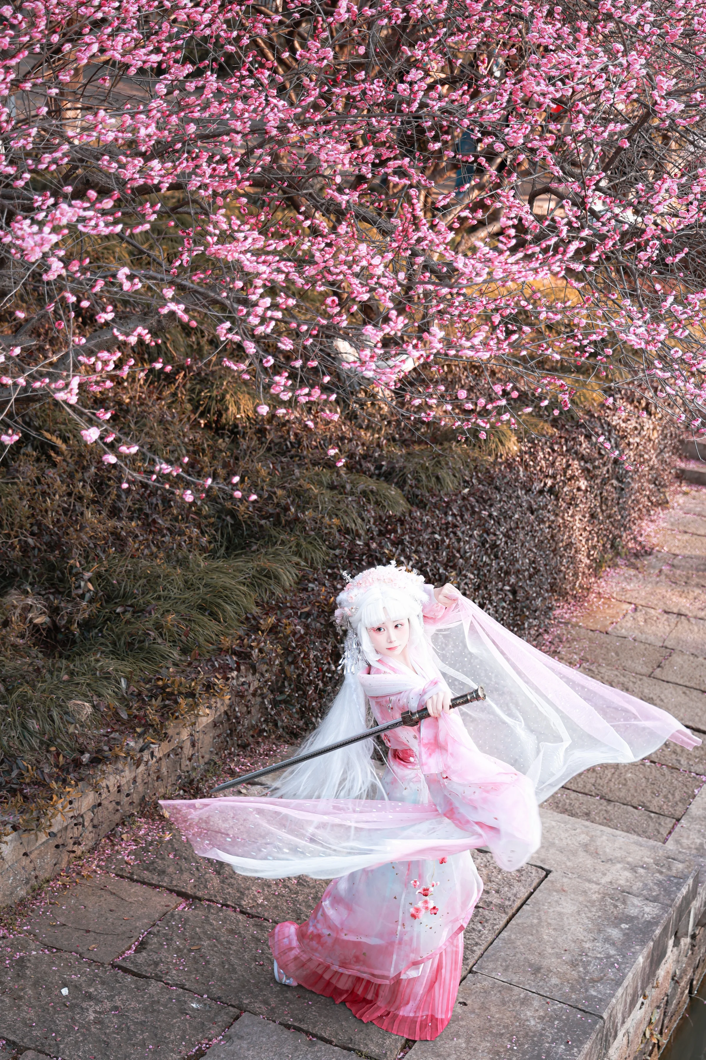 梅花拟人 国风COS写真
