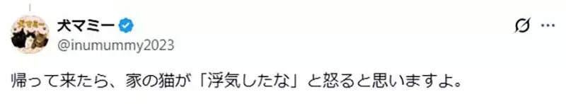 家裡有養貓卻還去《貓咪咖啡廳》這種心態是不是跟男人上酒店一樣？｜高清图片集