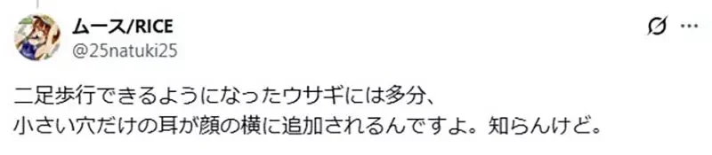 日本網友吐槽《戴珍珠耳環的米飛兔》耳環戴在那個位置真的沒錯嗎？｜高清图片集