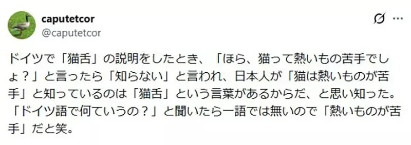 《神祕的日文「貓舌」》外文沒有可以對應的詞彙？只有日本人愛吃超燙的食物？｜高清图片集