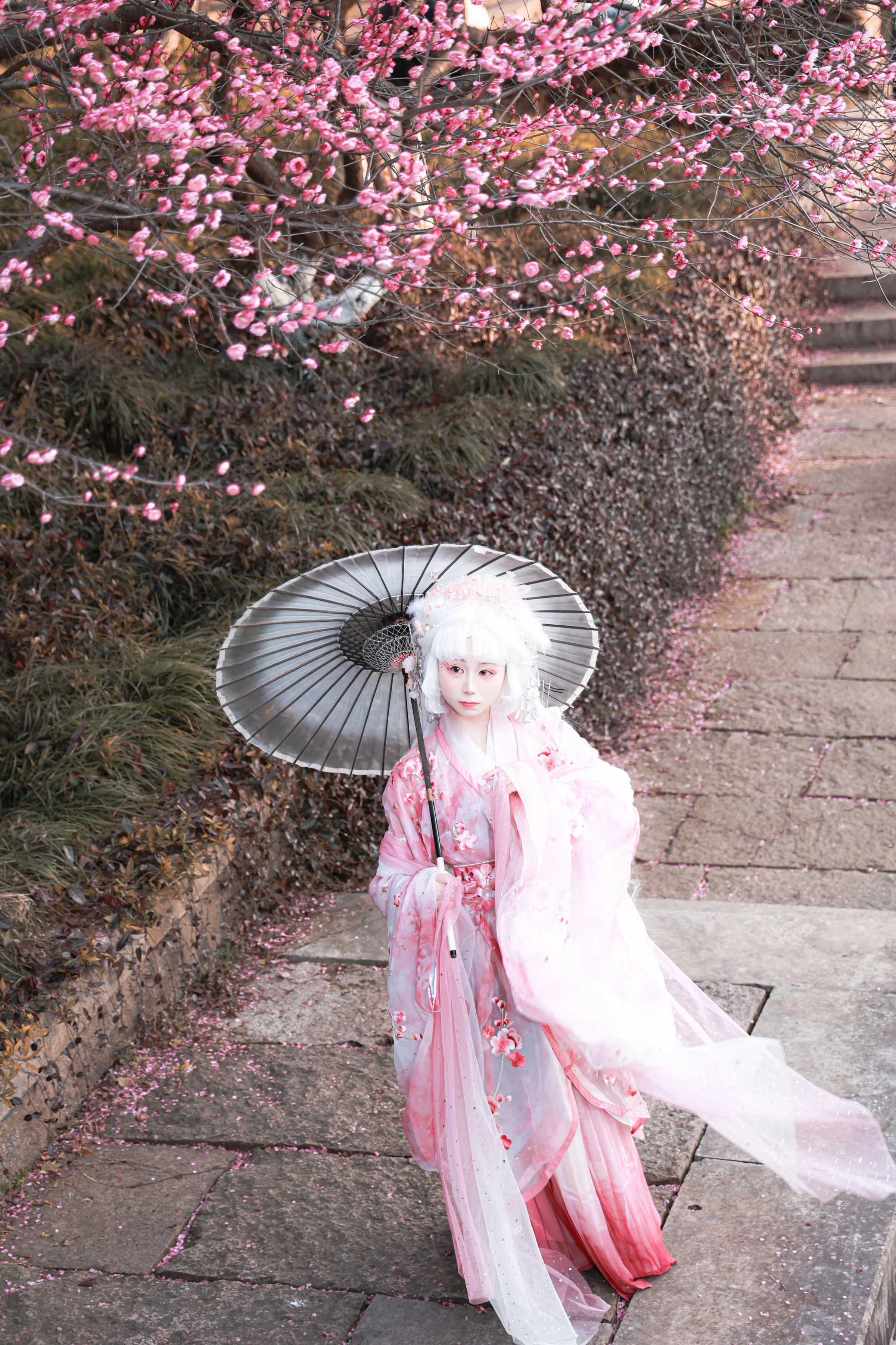 梅花拟人 国风COS写真