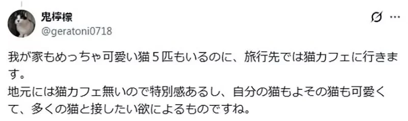 家裡有養貓卻還去《貓咪咖啡廳》這種心態是不是跟男人上酒店一樣？｜高清图片集