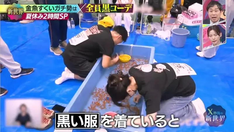 《日本撈金魚全國大賽》強者們都穿黑色上衣？冠軍靠這招可以撈個100隻｜高清图片集