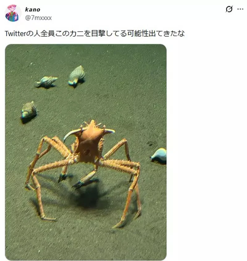 《舉起海星的螃蟹》日本水族館的擬人面蟹爆紅 不是巧合而是真的有這種興趣？｜高清图片集