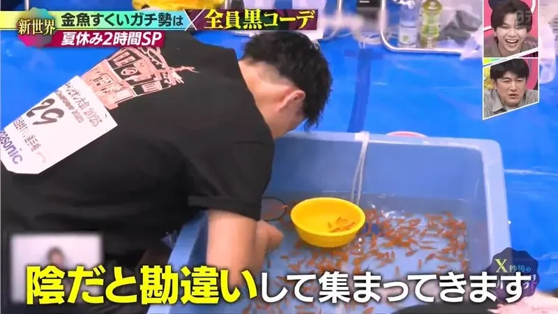 《日本撈金魚全國大賽》強者們都穿黑色上衣？冠軍靠這招可以撈個100隻｜高清图片集