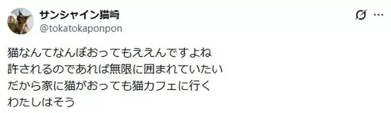家裡有養貓卻還去《貓咪咖啡廳》這種心態是不是跟男人上酒店一樣？｜高清图片集