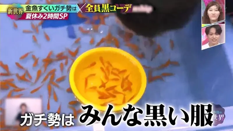 《日本撈金魚全國大賽》強者們都穿黑色上衣？冠軍靠這招可以撈個100隻｜高清图片集
