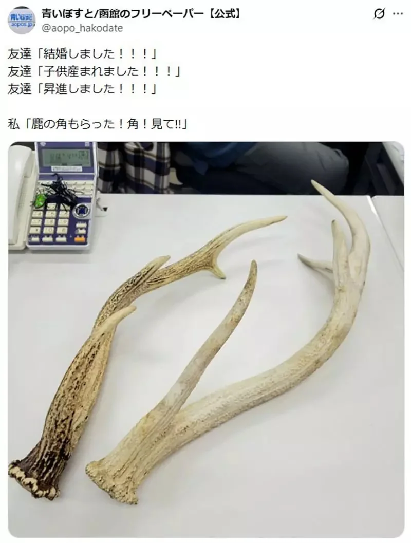 日本網友分享《朋友們都結婚生子了》反觀我還在做這種事……｜高清图片集