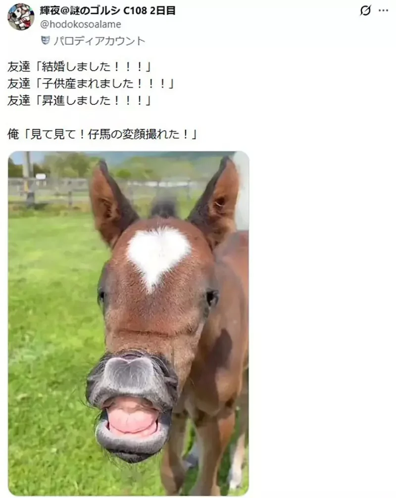 日本網友分享《朋友們都結婚生子了》反觀我還在做這種事……｜高清图片集