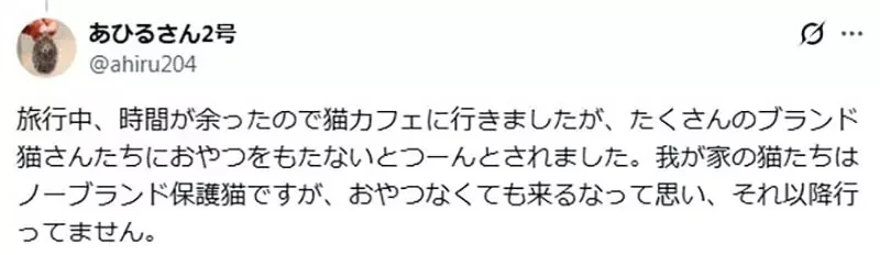 家裡有養貓卻還去《貓咪咖啡廳》這種心態是不是跟男人上酒店一樣？｜高清图片集