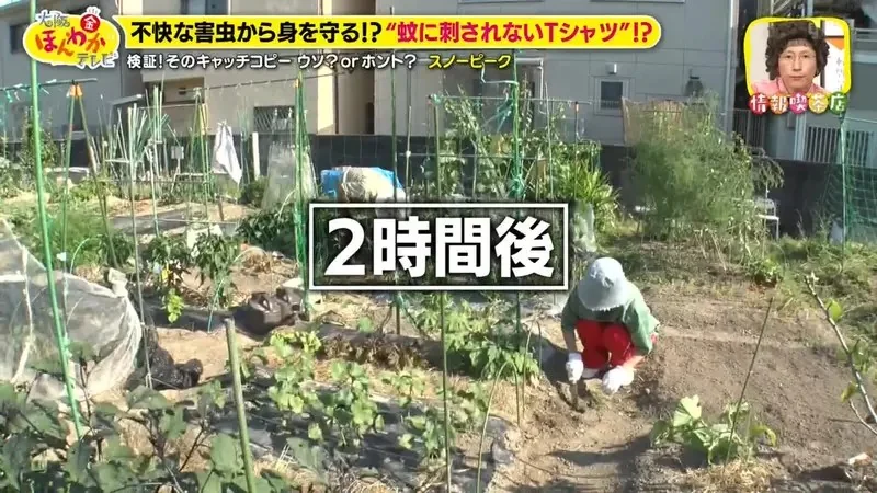 日本露營品牌推出《進化型防蚊衫》使用透氣布料的短袖上衣竟然能夠阻止蚊子？｜高清图片集