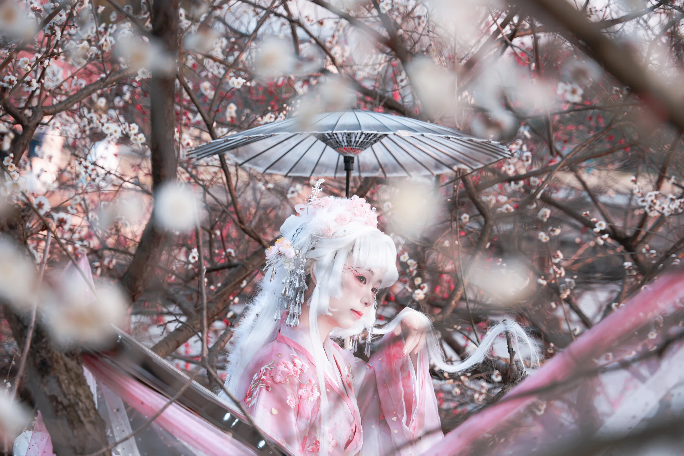 梅花拟人 国风COS写真