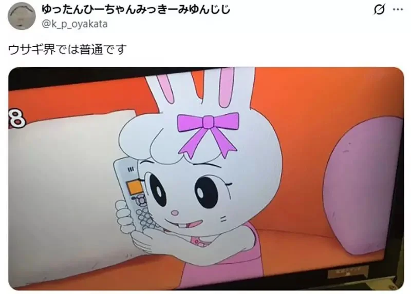 日本網友吐槽《戴珍珠耳環的米飛兔》耳環戴在那個位置真的沒錯嗎？｜高清图片集
