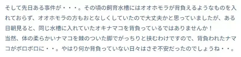 《舉起海星的螃蟹》日本水族館的擬人面蟹爆紅 不是巧合而是真的有這種興趣？｜高清图片集