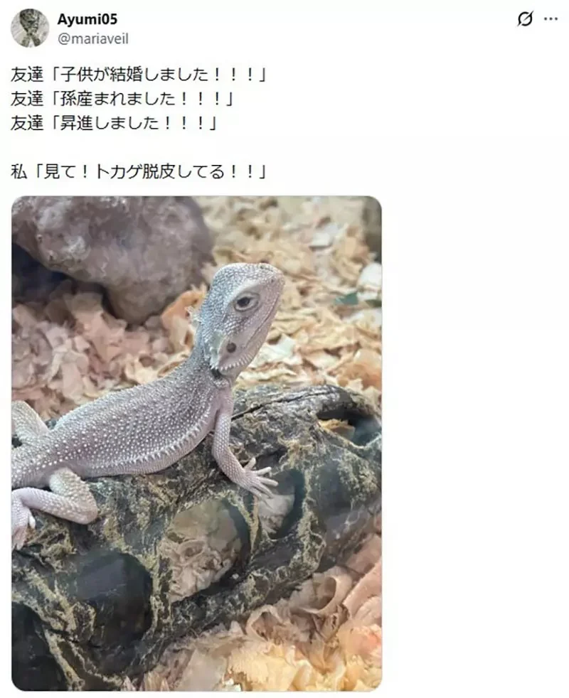 日本網友分享《朋友們都結婚生子了》反觀我還在做這種事……｜高清图片集