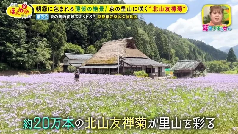 職業攝影師推薦《日本關西地區５大必拍景點》今年夏天不拍就要等明年｜高清图片集