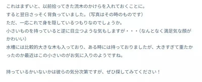 《舉起海星的螃蟹》日本水族館的擬人面蟹爆紅 不是巧合而是真的有這種興趣？｜高清图片集
