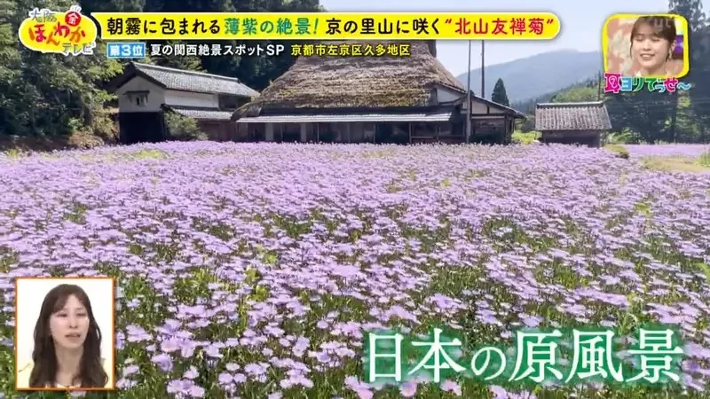 職業攝影師推薦《日本關西地區５大必拍景點》今年夏天不拍就要等明年｜高清图片集