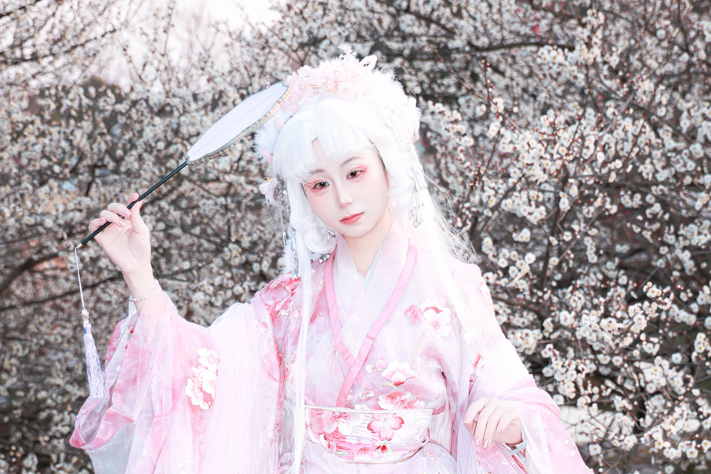 梅花拟人 国风COS写真