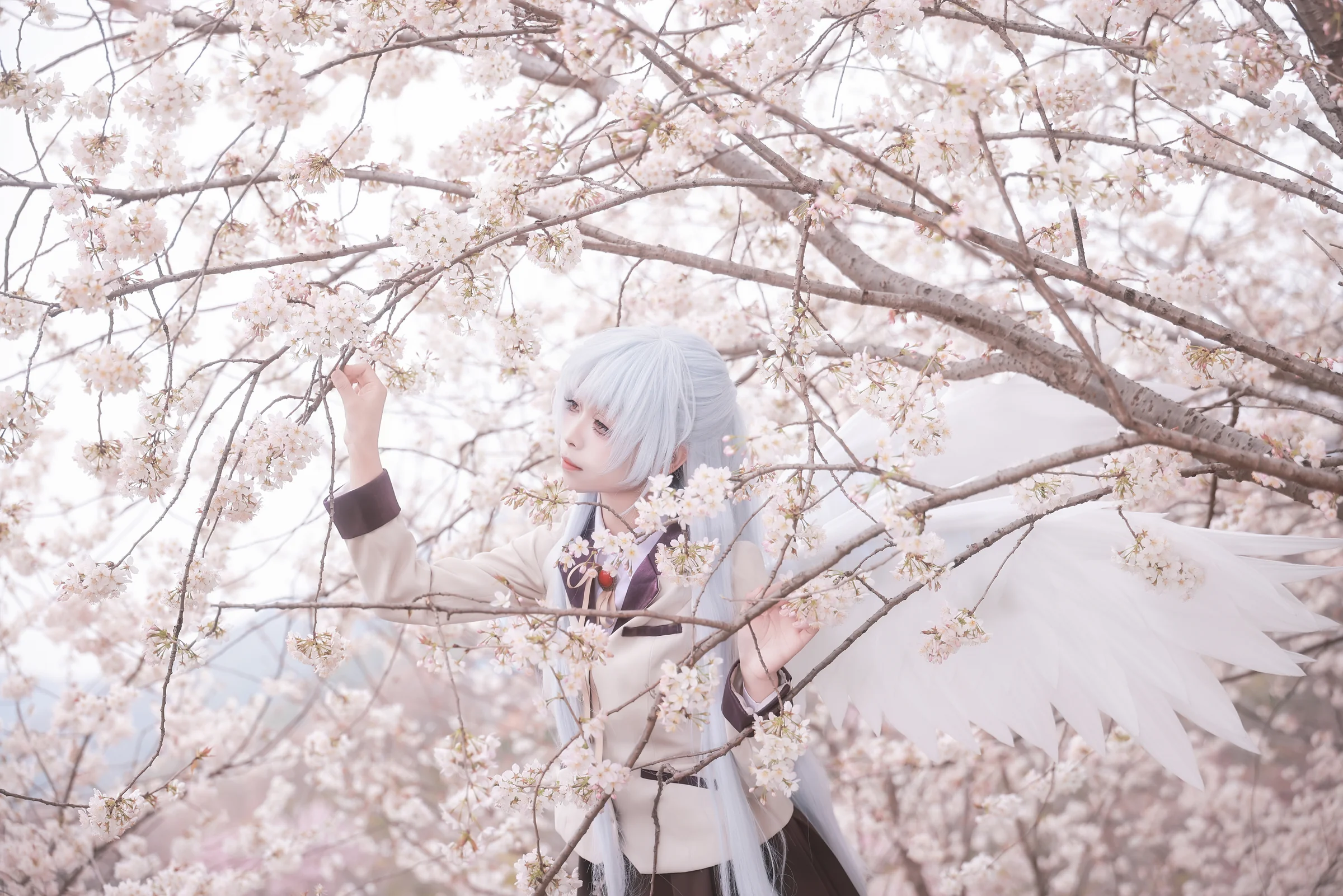 《Angel Beats!》立华奏COS写真