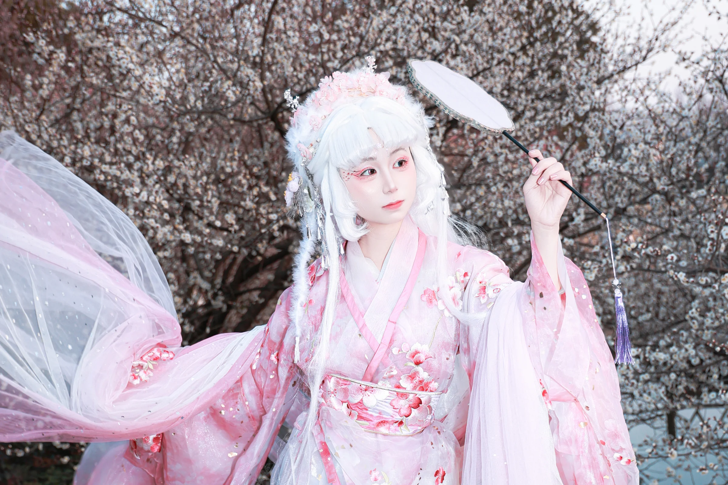 梅花拟人 国风COS写真