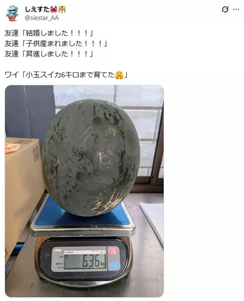 日本網友分享《朋友們都結婚生子了》反觀我還在做這種事……｜高清图片集