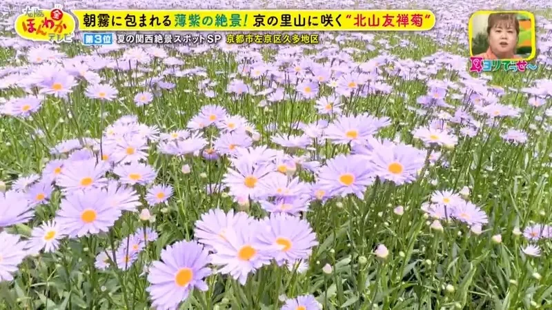 職業攝影師推薦《日本關西地區５大必拍景點》今年夏天不拍就要等明年｜高清图片集