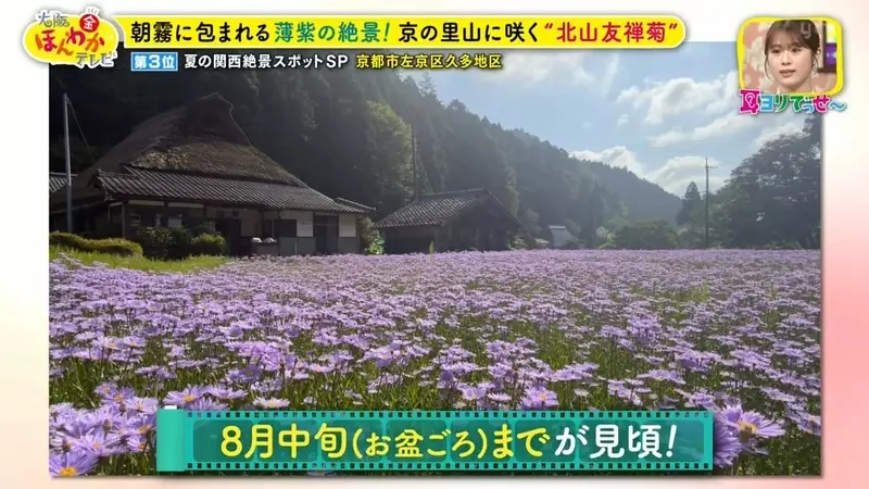 職業攝影師推薦《日本關西地區５大必拍景點》今年夏天不拍就要等明年｜高清图片集
