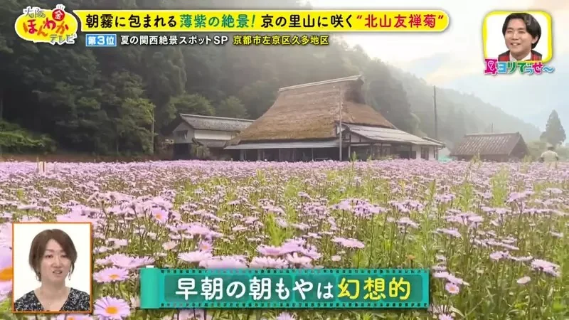 職業攝影師推薦《日本關西地區５大必拍景點》今年夏天不拍就要等明年｜高清图片集