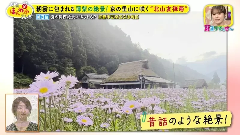職業攝影師推薦《日本關西地區５大必拍景點》今年夏天不拍就要等明年｜高清图片集