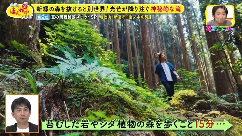 職業攝影師推薦《日本關西地區５大必拍景點》今年夏天不拍就要等明年｜高清图片集