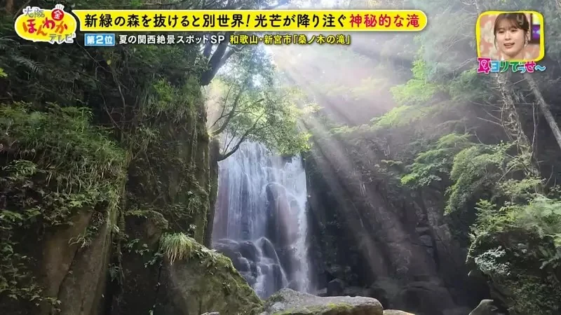職業攝影師推薦《日本關西地區５大必拍景點》今年夏天不拍就要等明年｜高清图片集