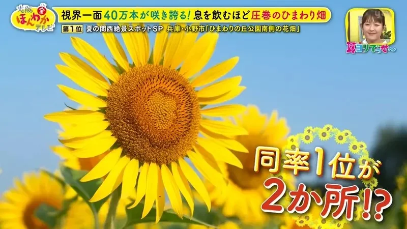 職業攝影師推薦《日本關西地區５大必拍景點》今年夏天不拍就要等明年｜高清图片集