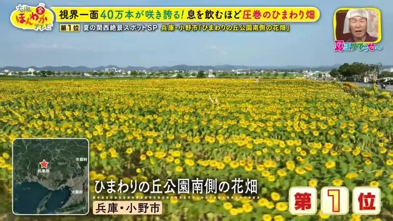 職業攝影師推薦《日本關西地區５大必拍景點》今年夏天不拍就要等明年｜高清图片集