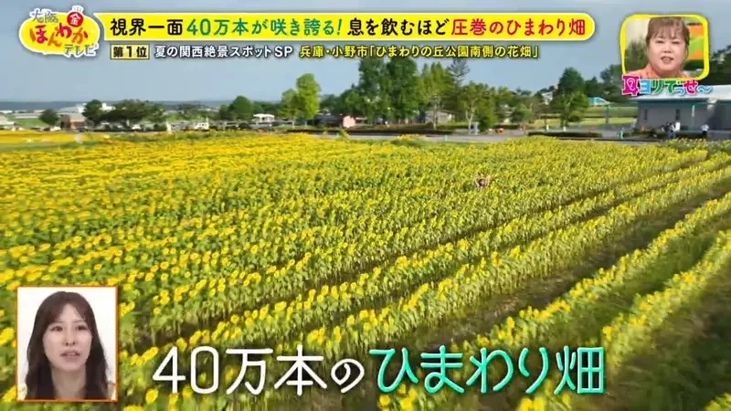 職業攝影師推薦《日本關西地區５大必拍景點》今年夏天不拍就要等明年｜高清图片集