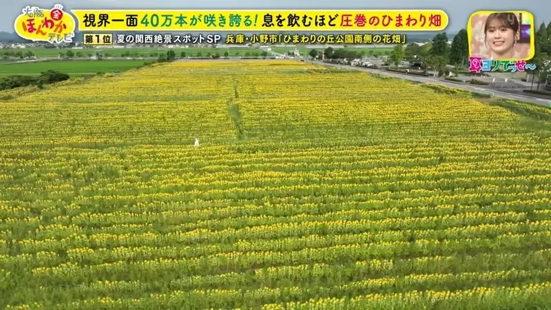 職業攝影師推薦《日本關西地區５大必拍景點》今年夏天不拍就要等明年｜高清图片集