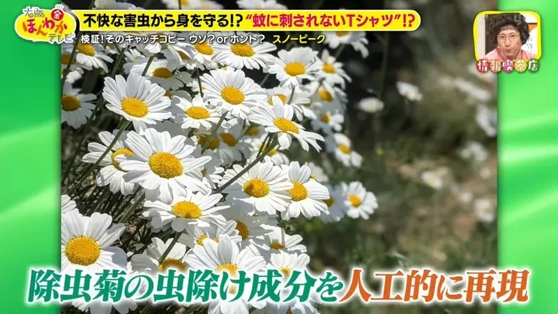 日本露營品牌推出《進化型防蚊衫》使用透氣布料的短袖上衣竟然能夠阻止蚊子？｜高清图片集